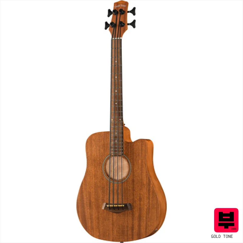 Gold Tone Micro Bass 25 w/Bag - 4-String Acoustic Basses