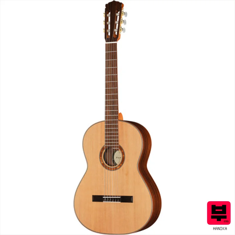 Hanika 50 PC Basis - Professional Music Instrument Photo