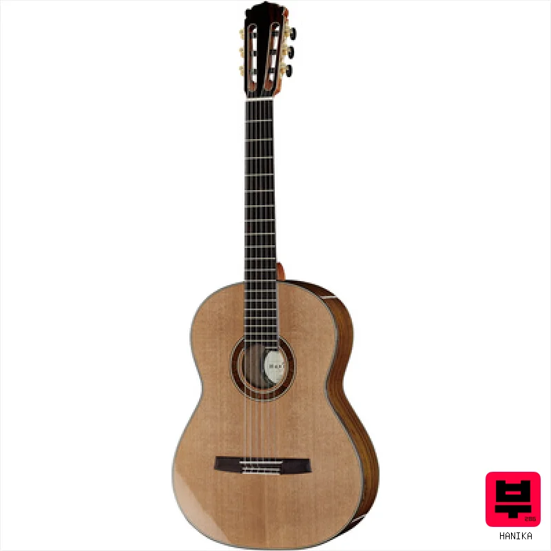 Hanika 58BC - Professional Music Instrument Photo
