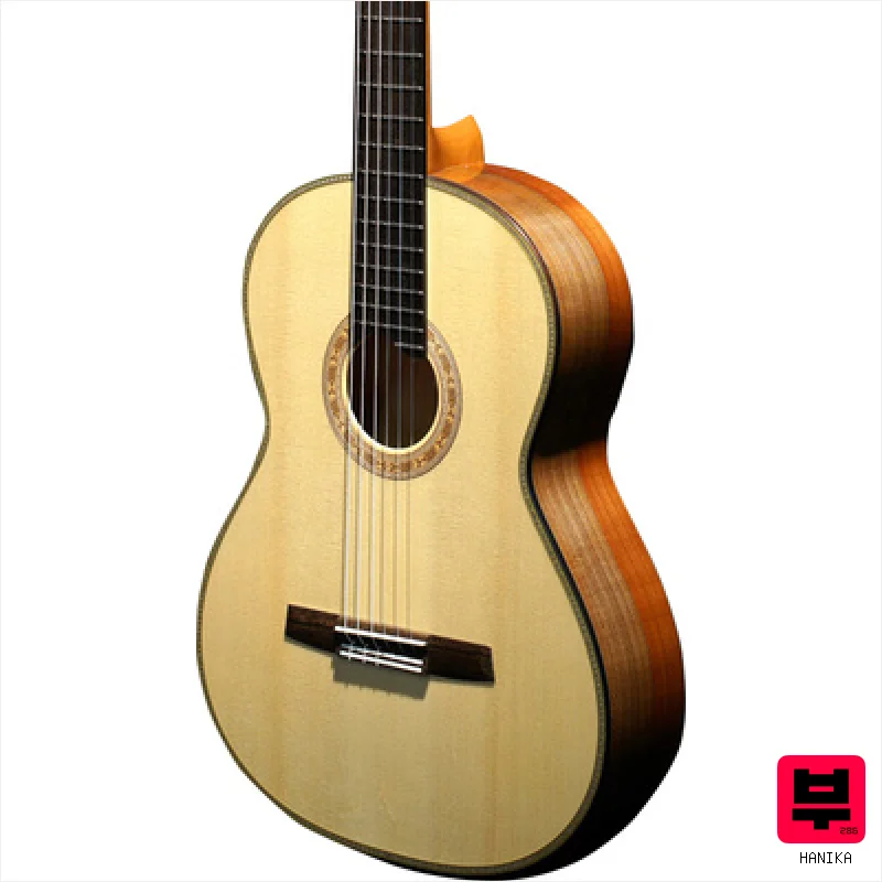 Hanika HartiPilsner Signature - Professional Music Instrument Photo