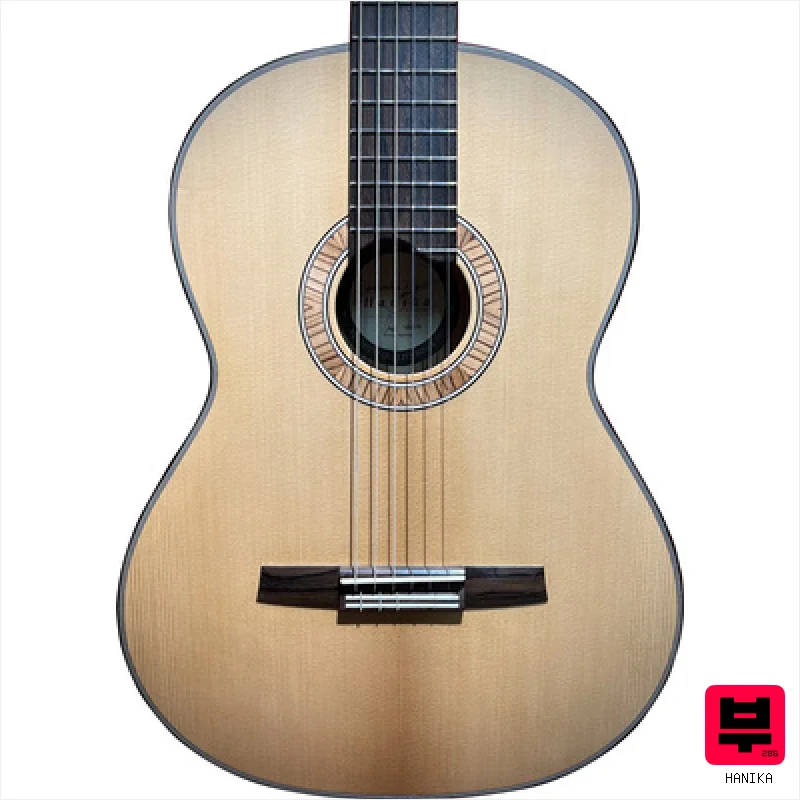 Hanika Jahresmodell 2026 - Professional Music Instrument Photo