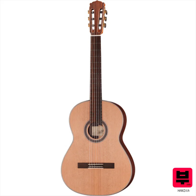 Hanika Natural-PC - Professional Music Instrument Photo