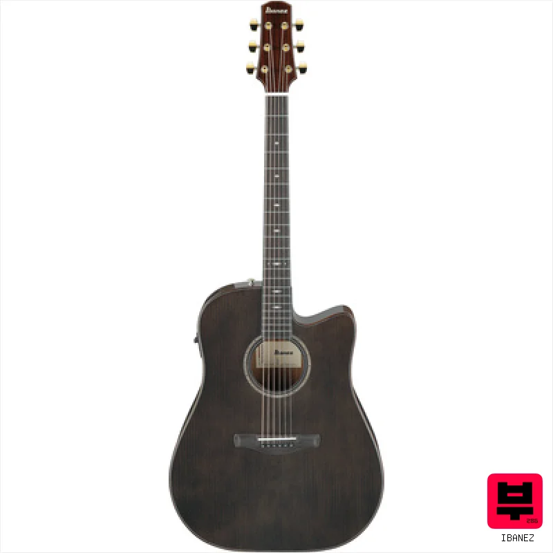 Ibanez AAD361CE-TKR - Dreadnought Acoustic Guitars