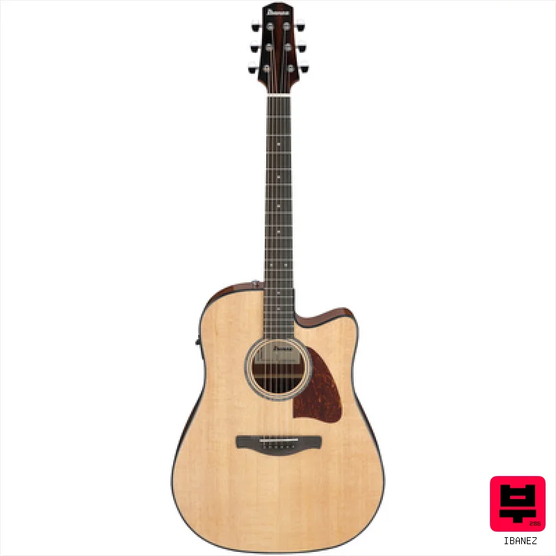 Ibanez AAD51CE-NT - Professional Music Instrument Photo