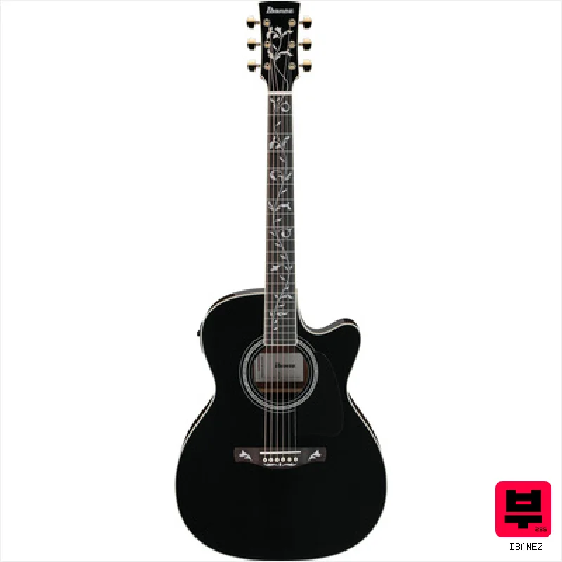 Ibanez AC391RCE-BKH - Professional Music Instrument Photo
