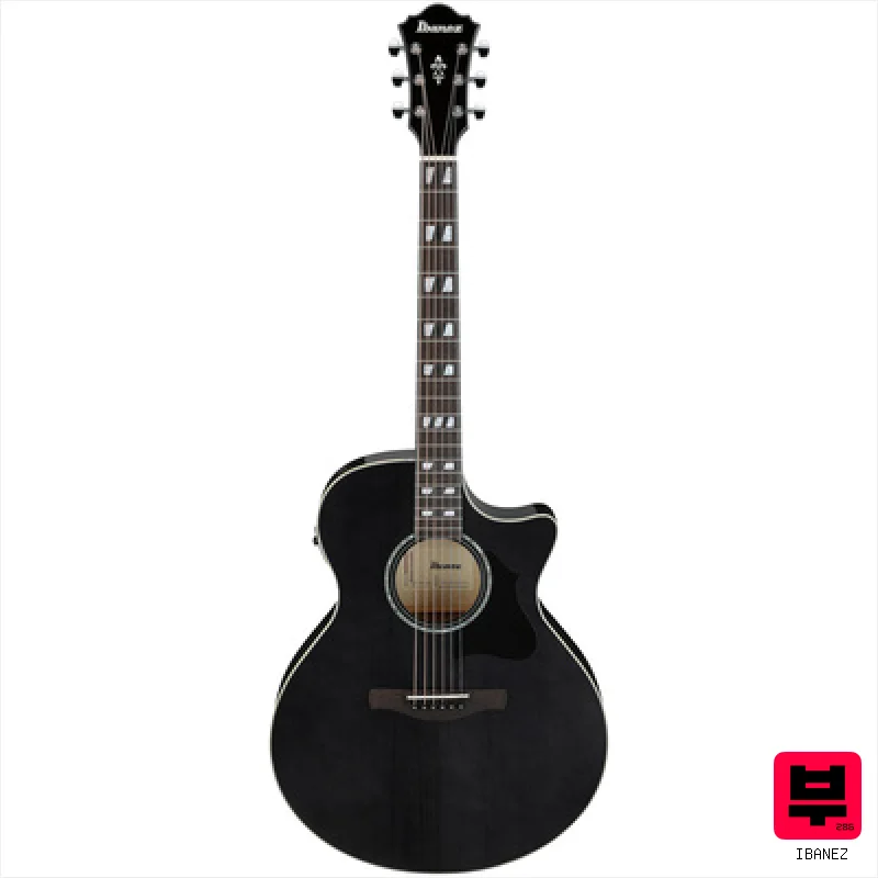 Ibanez AE170-TBK - Professional Music Instrument Photo