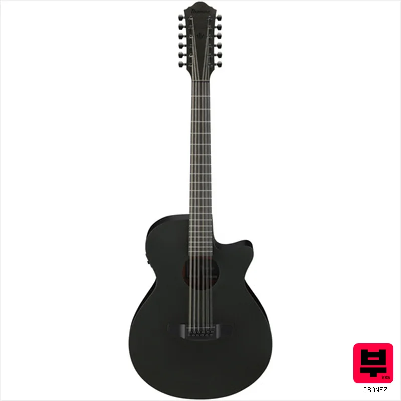 Ibanez AEG1221-BOT - Professional Music Instrument Photo