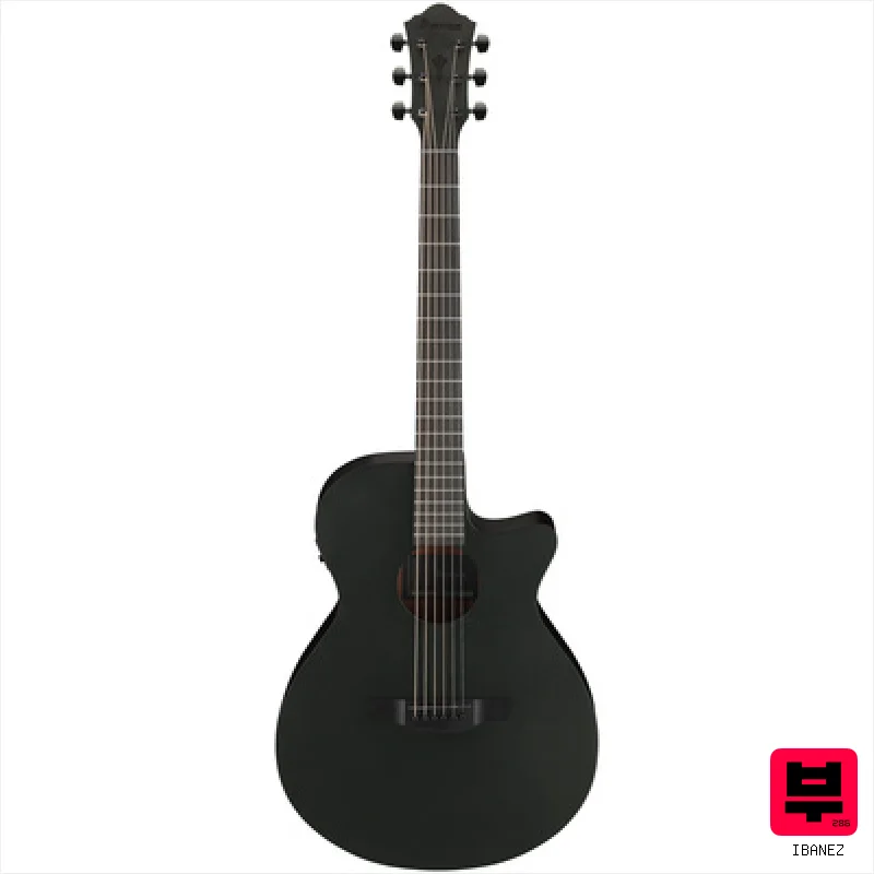 Ibanez AEG621-BOT - Miscellaneous Acoustic Guitars