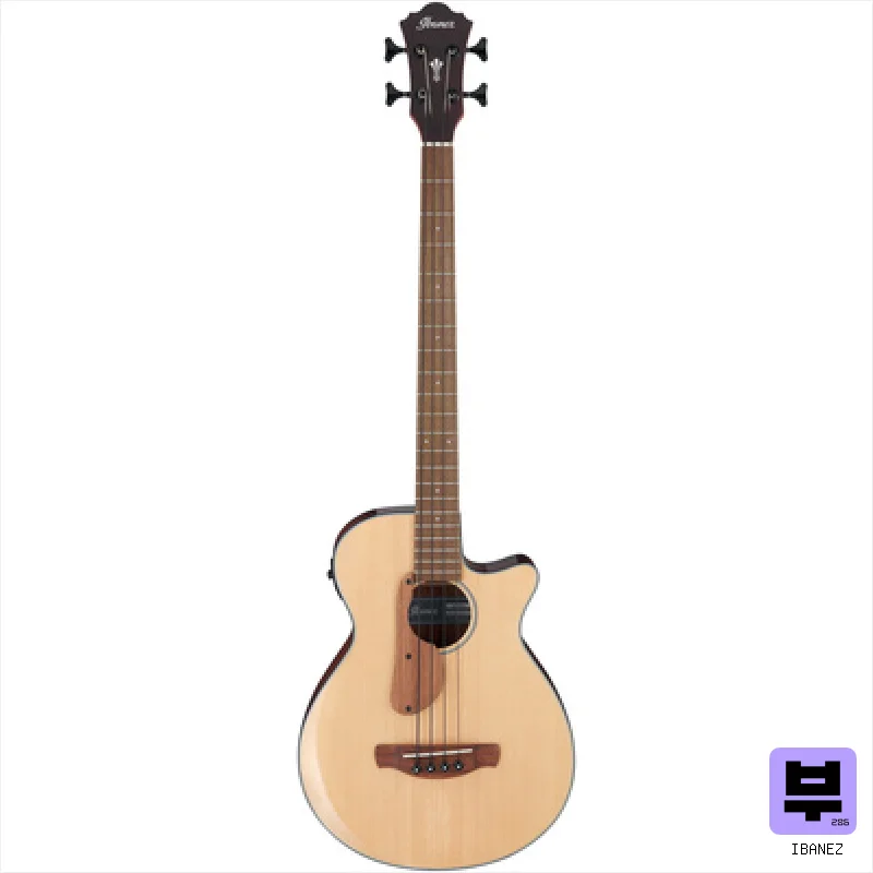 Ibanez AEGB30E-NTG