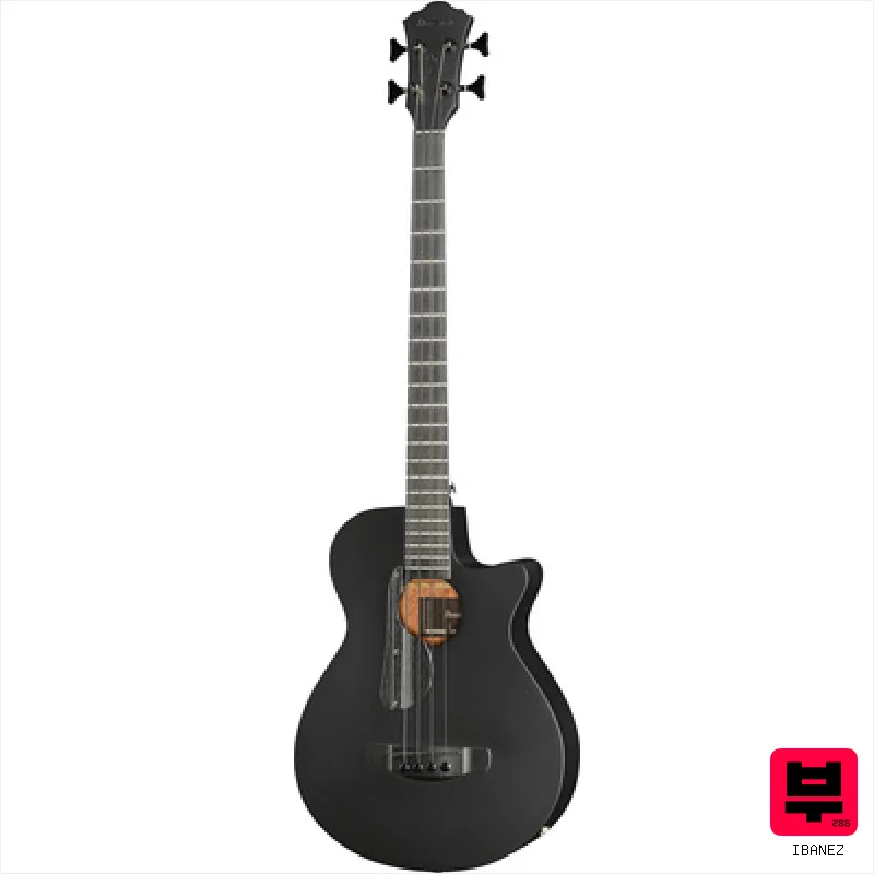 Ibanez AEGB420-BOT - 4-String Acoustic Basses