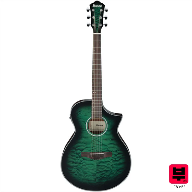 Ibanez AEWC16QA-TEH - Professional Music Instrument Photo
