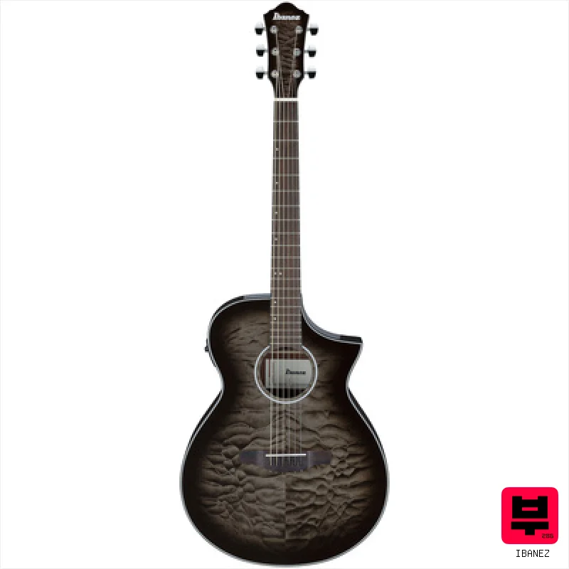Ibanez AEWC16QA-TKH - Professional Music Instrument Photo