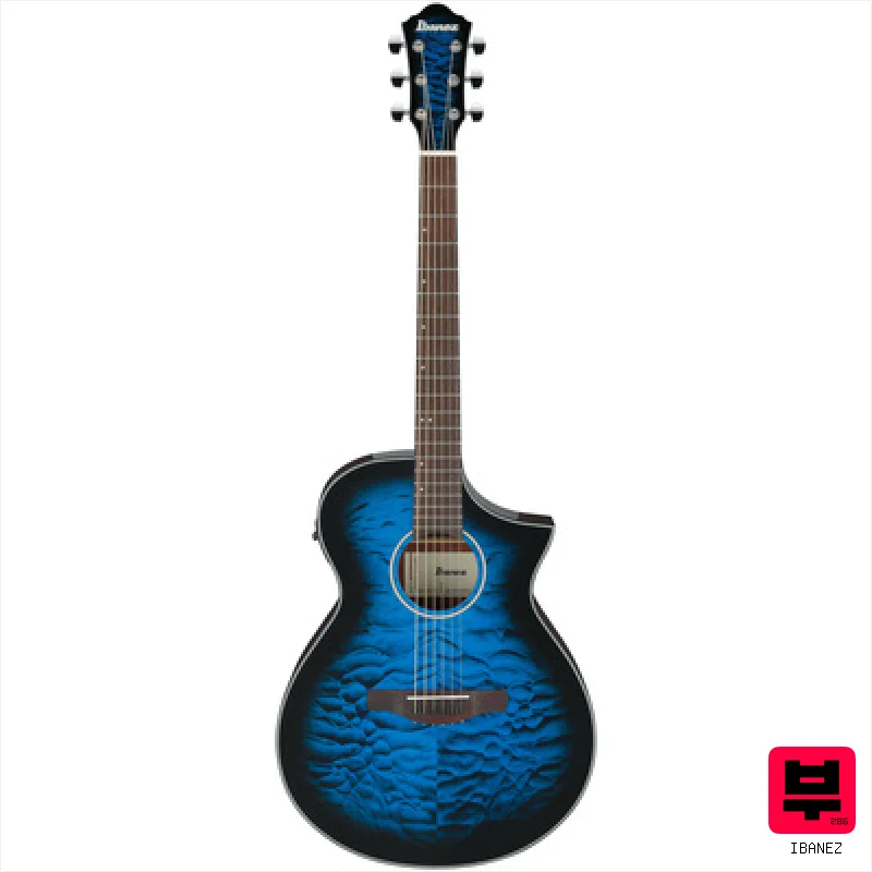 Ibanez AEWC16QA-TLH - Professional Music Instrument Photo
