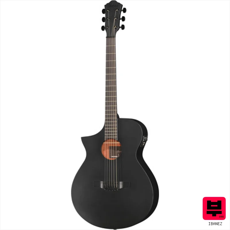 Ibanez AEWC621L-BOT - Lefthanded Acoustic Guitars