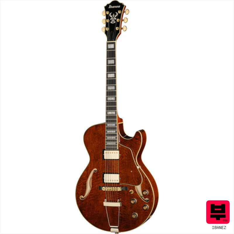 Ibanez AG95MG-DA - Semiacoustic Guitars