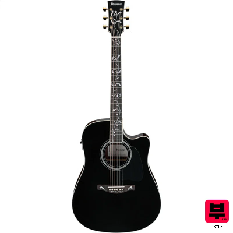Ibanez AW391RCE-BKH - Professional Music Instrument Photo