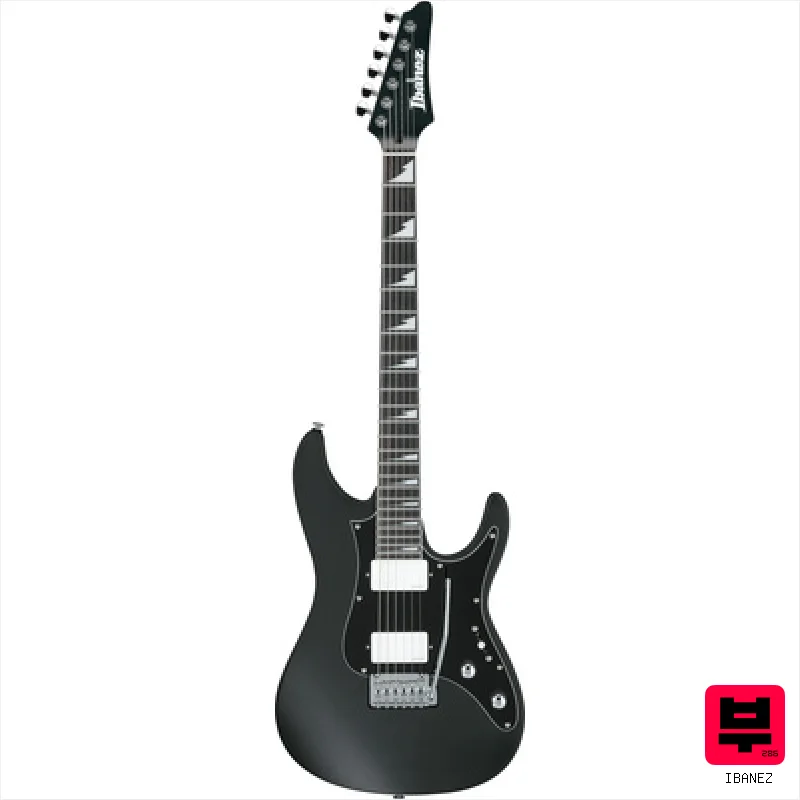 Ibanez BER10 Bernth Signature BK - Professional Music Instrument Photo