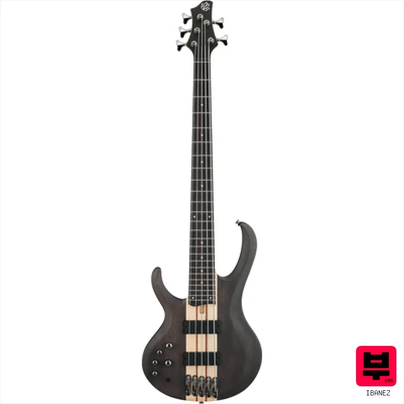 Ibanez BTB605L-TGF - Professional Music Instrument Photo
