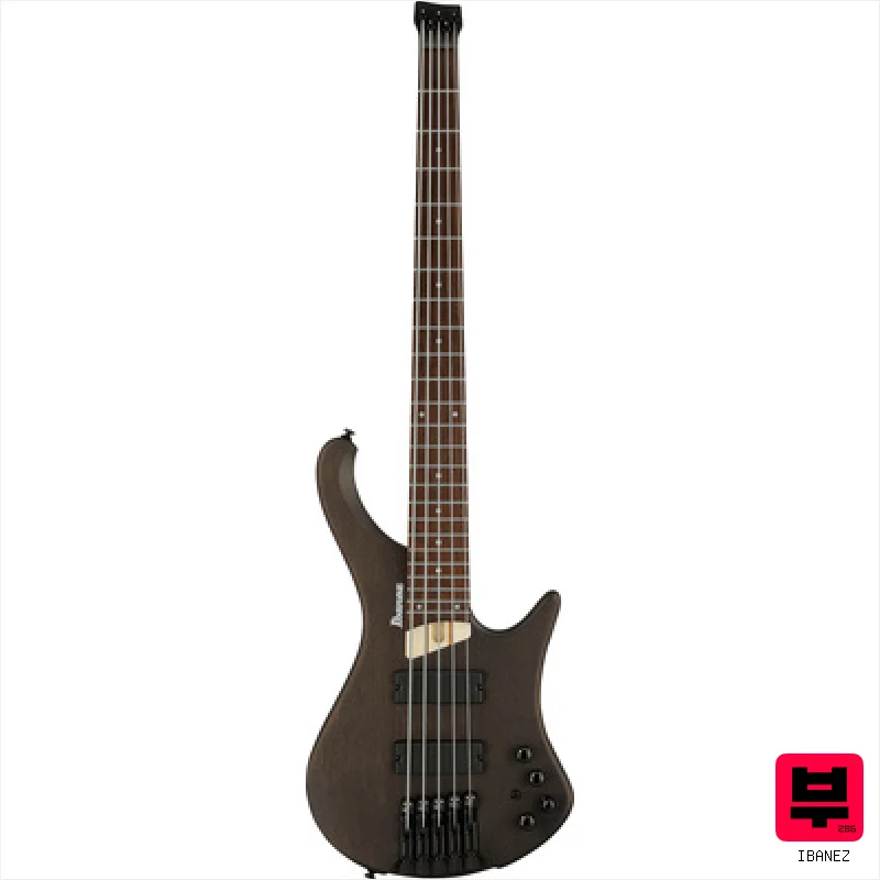 Ibanez EHB605-WNF - Professional Music Instrument Photo