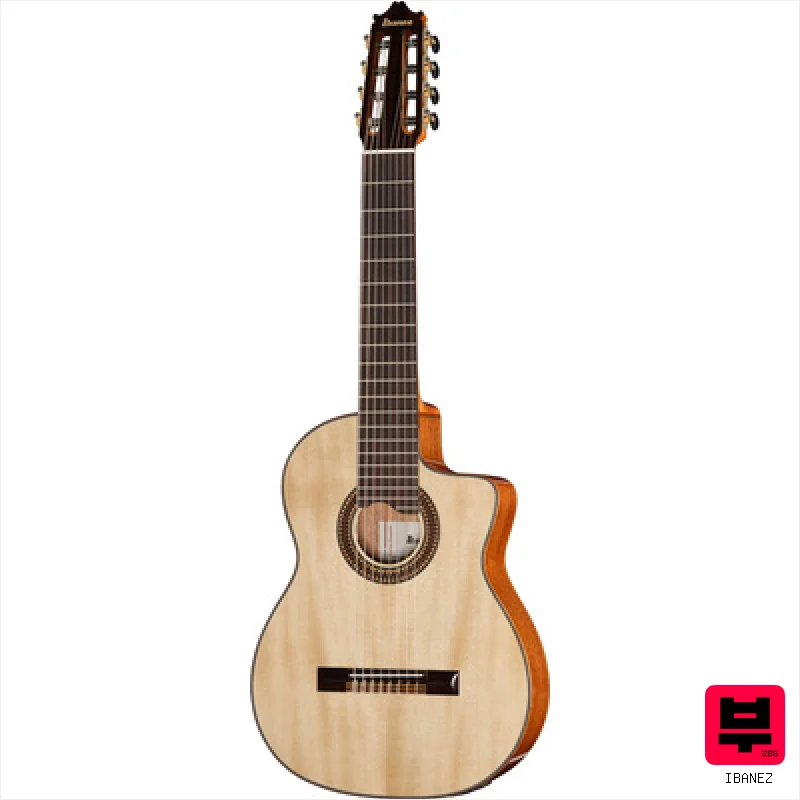 Ibanez GA3008CE-NT - Miscellaneous Classical Guitars