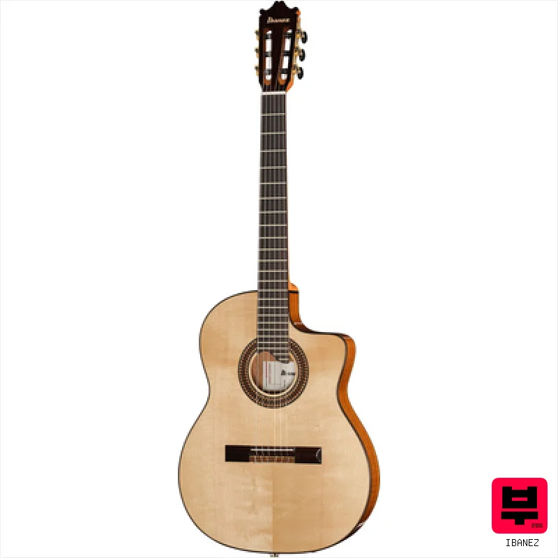 Ibanez GA360TCE-NT - 4/4 Size Classical Guitars