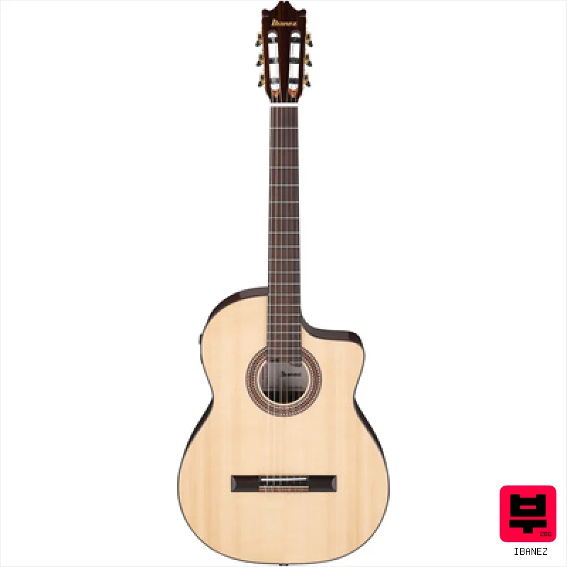 Ibanez GA380CE-NT - Professional Music Instrument Photo