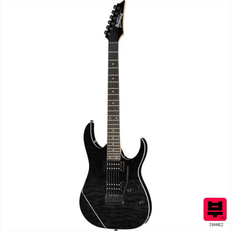 Ibanez GRG120QASP-BKG - ST Style Guitars
