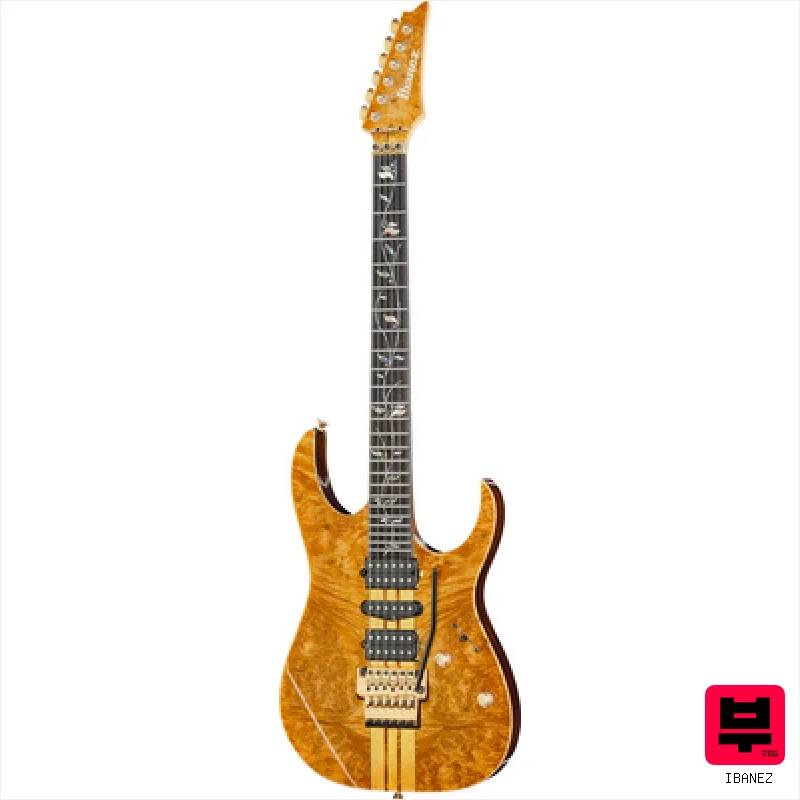 Ibanez IV1RG Visions RG - Professional Music Instrument Photo