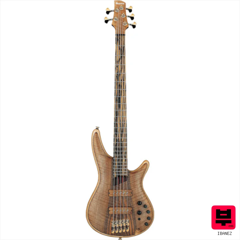 Ibanez IV1SR - Professional Music Instrument Photo