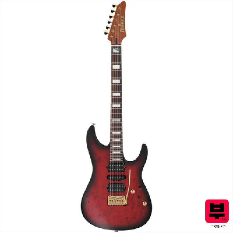 Ibanez KIKO300-RRT Kiko Loureiro - Professional Music Instrument Photo