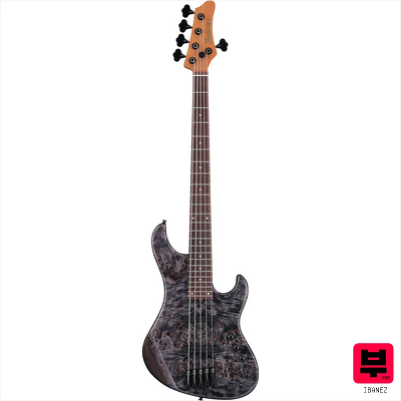 Ibanez MDM1605-DTW - Professional Music Instrument Photo