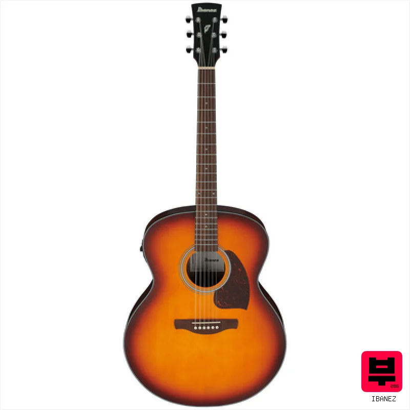 Ibanez PJ50E-OAH - Professional Music Instrument Photo
