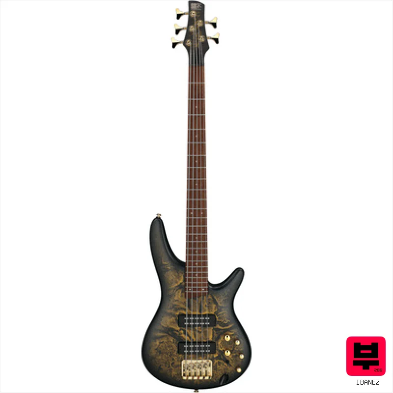 Ibanez SR305EDX-FDM - Miscellaneous 5-String Basses
