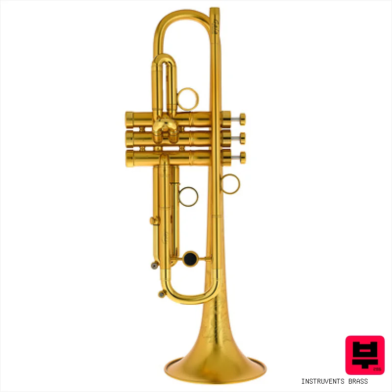 InstruVents Brass Gaia Bb-Trumpet - Bb Trumpets