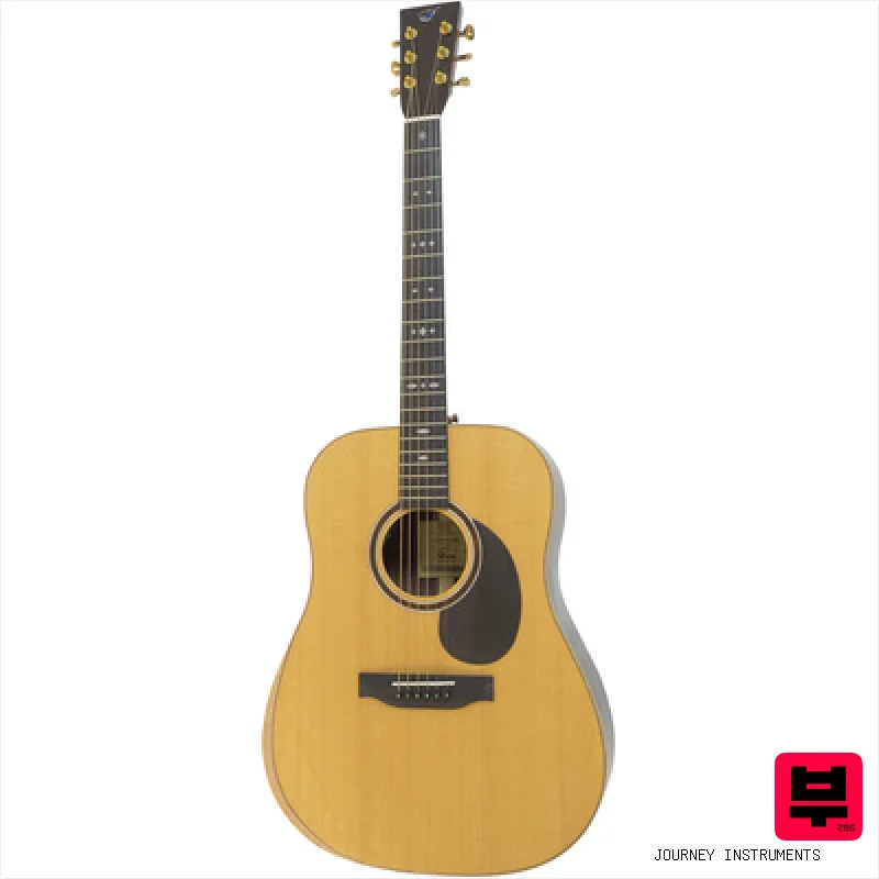 Journey Instruments Comfort Dreadnought JCD422 - Dreadnought Acoustic Guitars