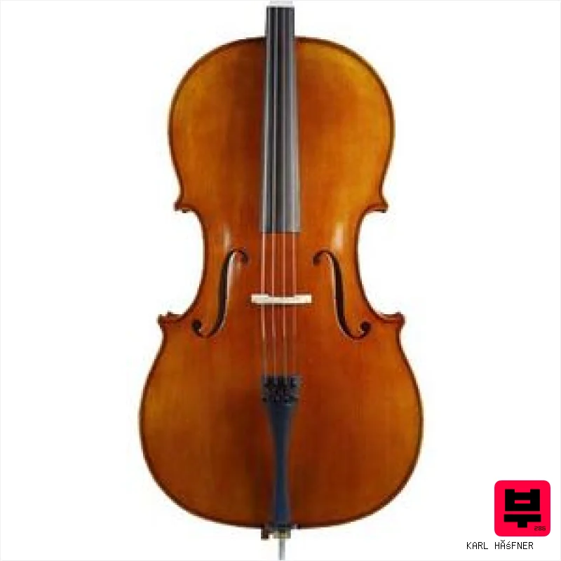 Karl Höfner H4/5 DM Cello 4/4 - Professional Music Instrument Photo