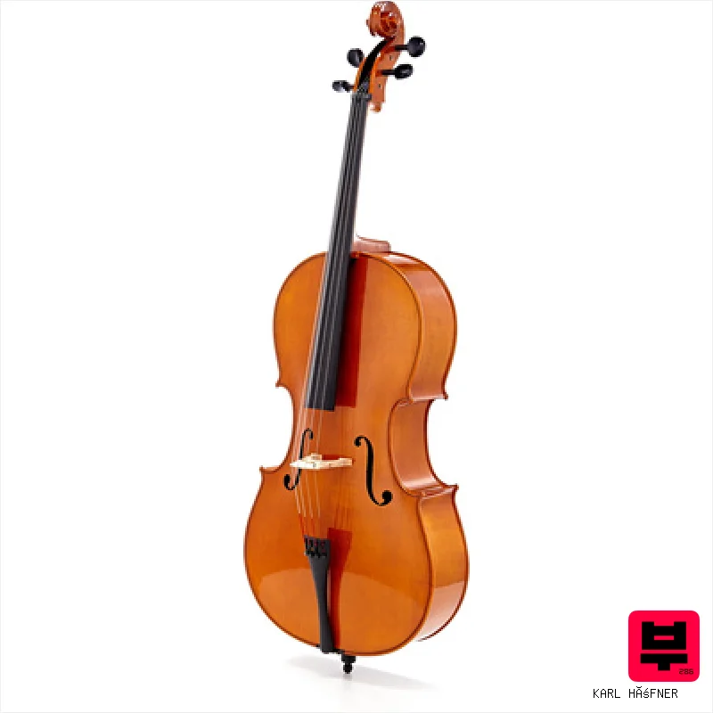Karl Höfner H5-C Cello 4/4 - Professional Music Instrument Photo