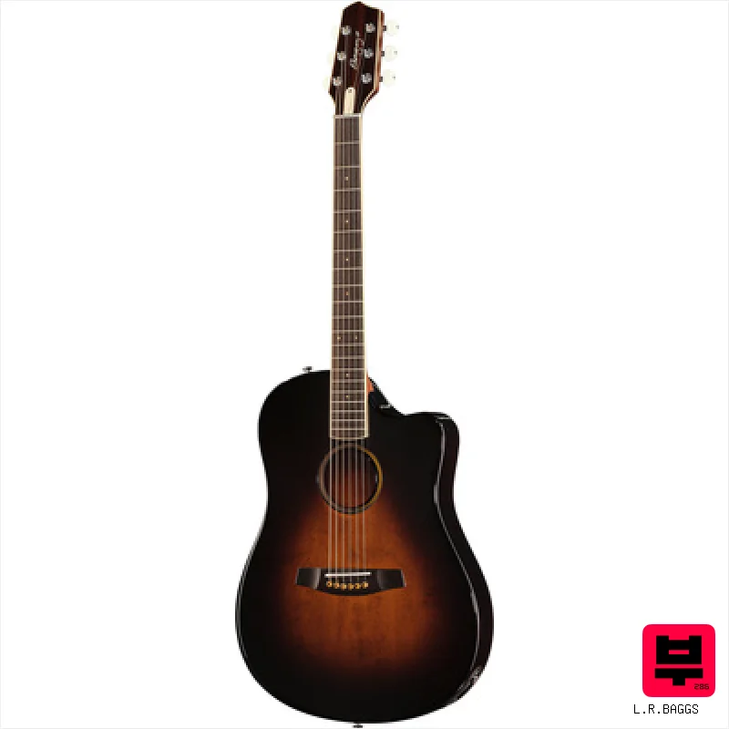 L.R.Baggs AEG 1 E- Acoustic Sunburst - Miscellaneous Acoustic Guitars