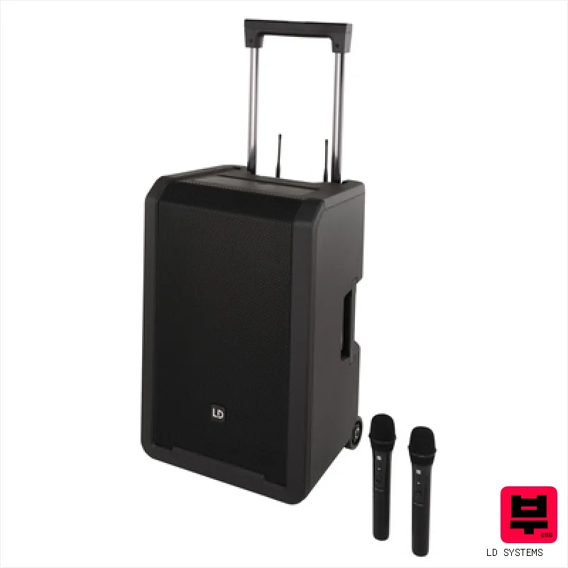 LD Systems ANNY 12 HHD 2 B5 - Professional Music Instrument Photo