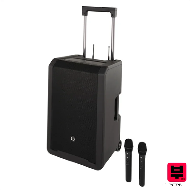 LD Systems ANNY 12 HHD 2 B8 - Professional Music Instrument Photo