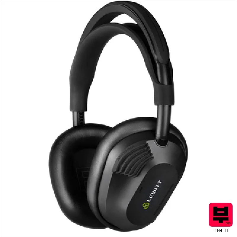 Lewitt LW6