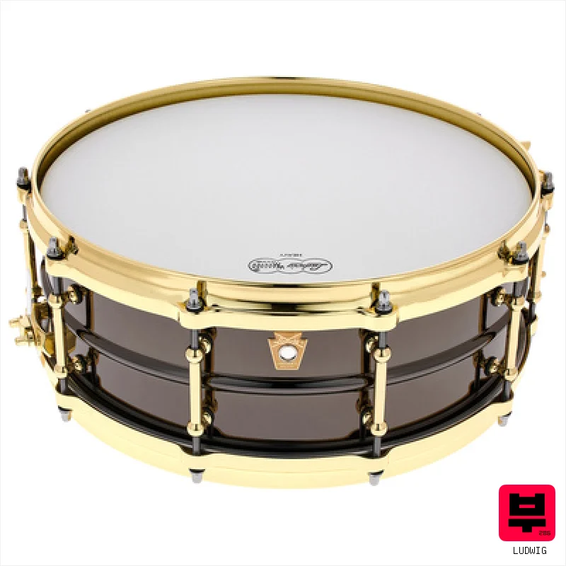 Ludwig LB416BT 14"x5" Black Beauty - 14" Brass Snare Drums