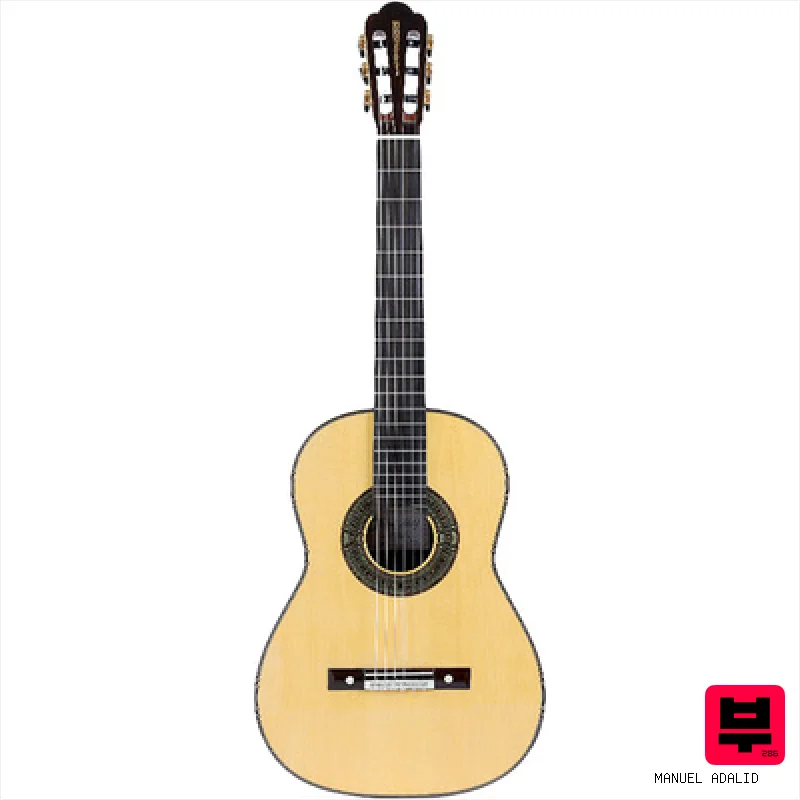 Manuel Adalid Torres (650) SP w/Case - Professional Music Instrument Photo