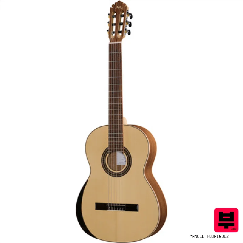 Manuel Rodriguez Ecologia E-65 4/4 - Professional Music Instrument Photo
