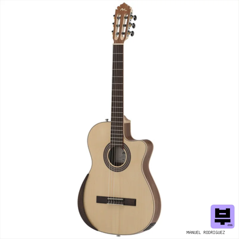 Manuel Rodriguez Ecologia Samba Plano Truss Rod