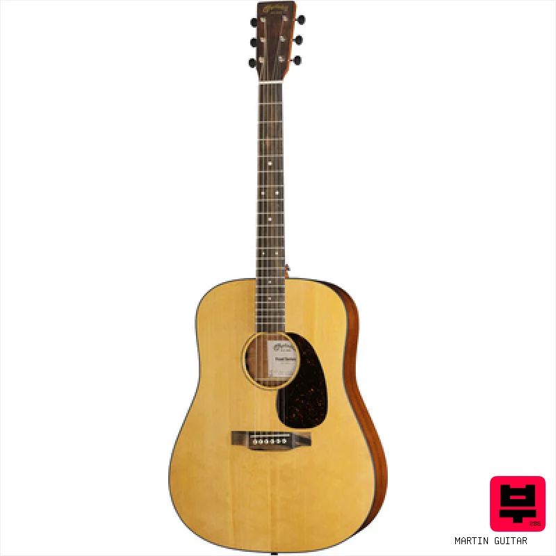 Martin Guitar D-10E Retro Nat - Professional Music Instrument Photo