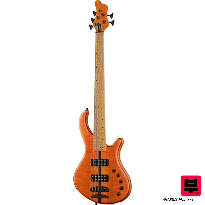 Mayones Guitars Patriot 5 Custom TOM - Professional Music Instrument Photo