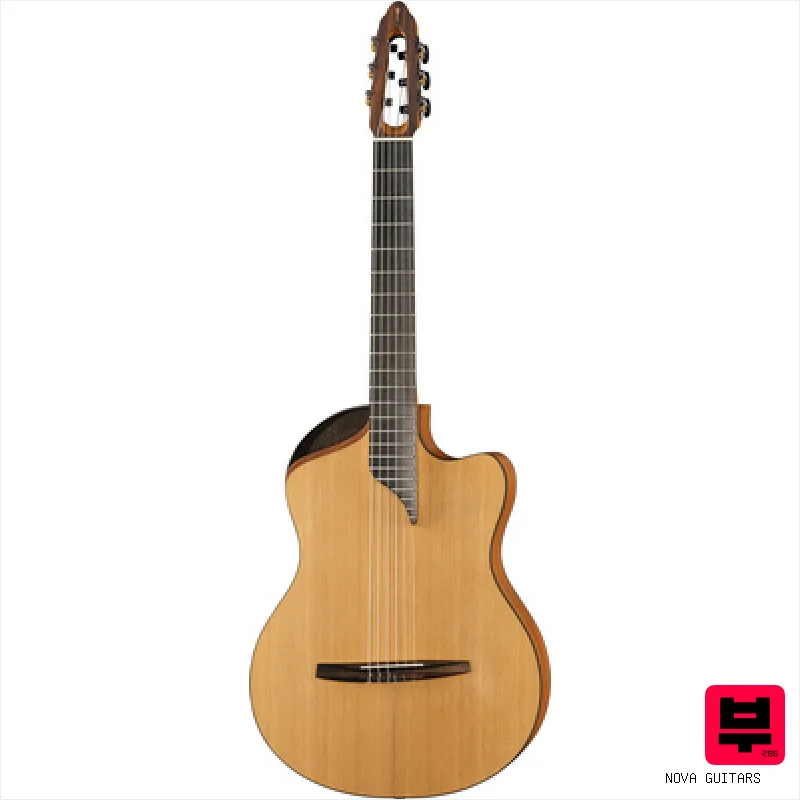 NOVA Guitars Innovator w/PU - Miscellaneous Classical Guitars