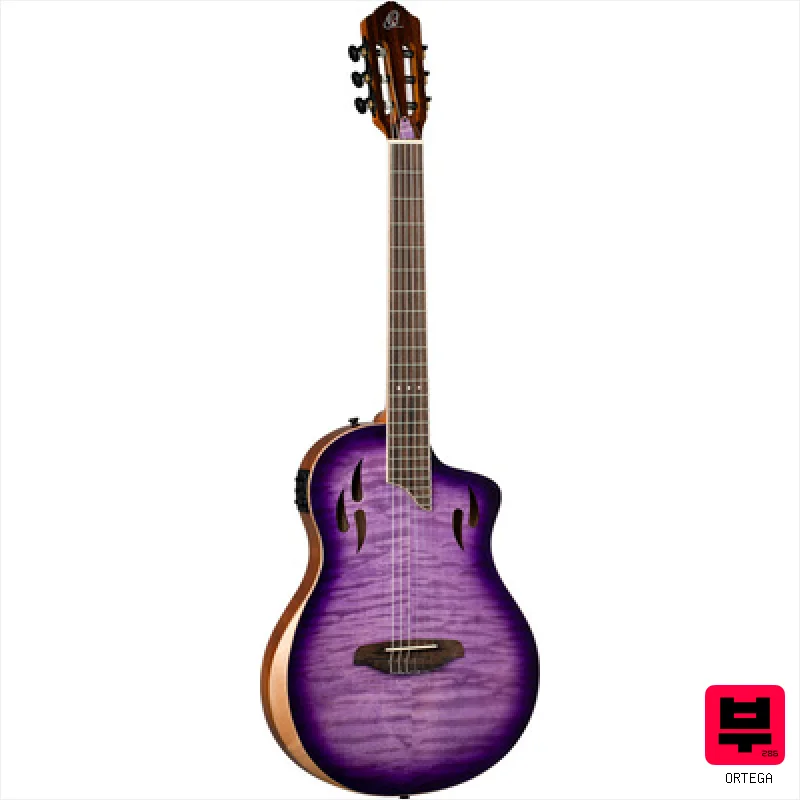 Ortega RTP-LTD2 - Professional Music Instrument Photo
