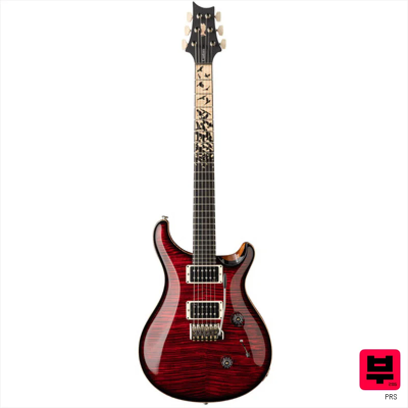 PRS Birds Of A Feather Custom 24 B - ST Style Guitars